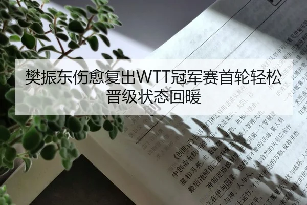 樊振东伤愈复出WTT冠军赛首轮轻松晋级状态回暖