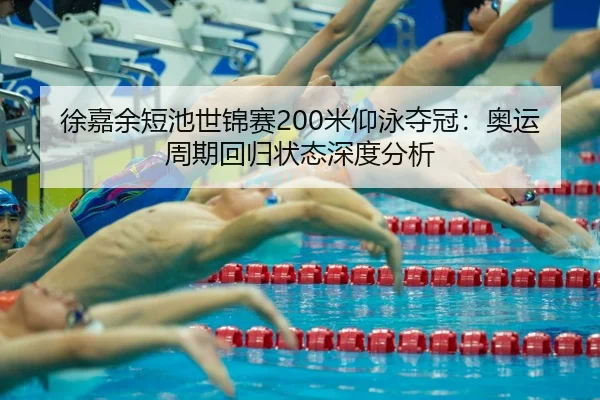 xu-jia-yu-duan-chi-shi-jin-sai-mi-yang-yong-duo-guan-ao-yun-zhou-qi-hui-gui-zhuang-tai-shen-du-fen-xi-3-307.jpg